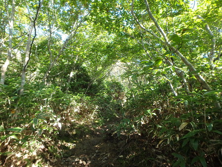 P9260017