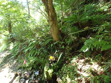 P9260057