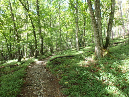 P9290003