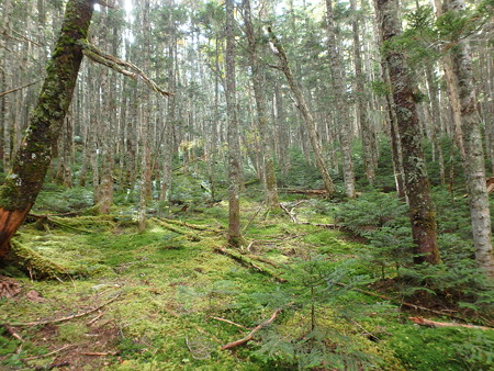 P9290051