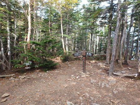 P9300193