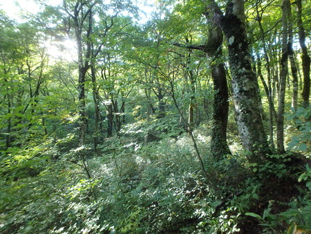 PA080011