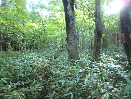 PA080016