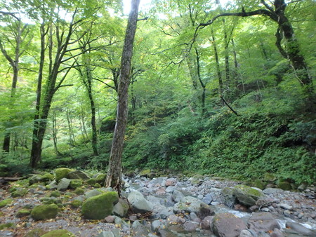 PA080023