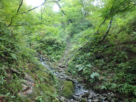 PA080033