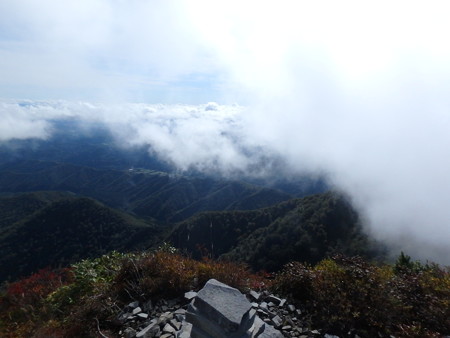 PA080054