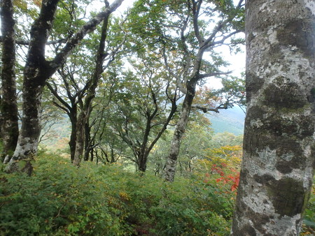PA080083