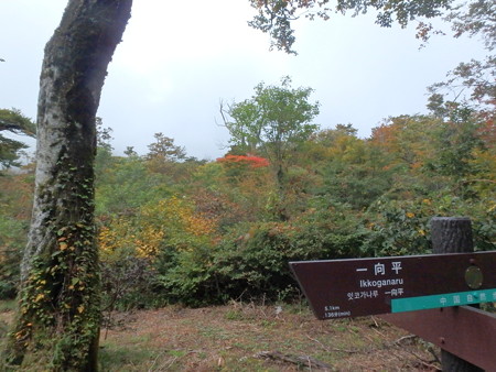 PA080091