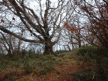 PB030110