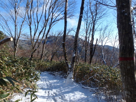 PC090316