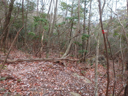 P1140026