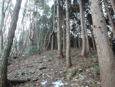 P1200015
