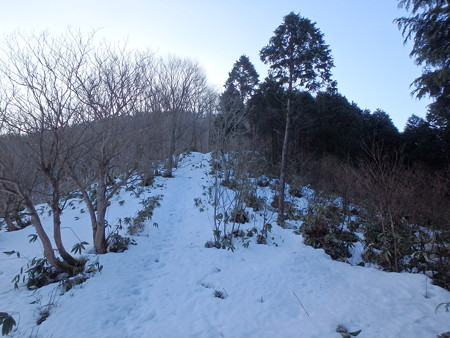 P1200024
