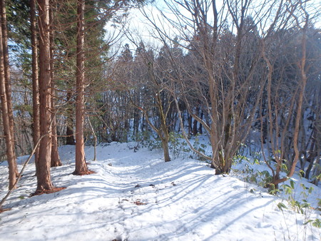 P1200079