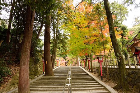 吉田神社