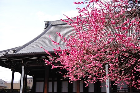 興正寺