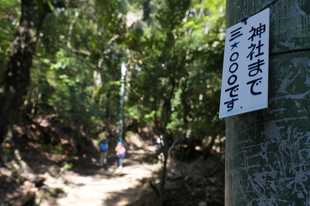 京都･愛宕山04