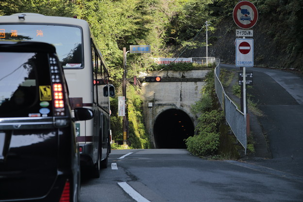 京都･愛宕山01