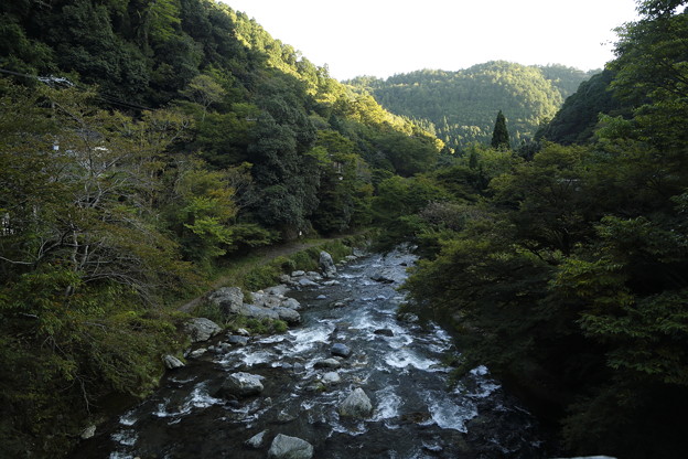 京都･愛宕山33