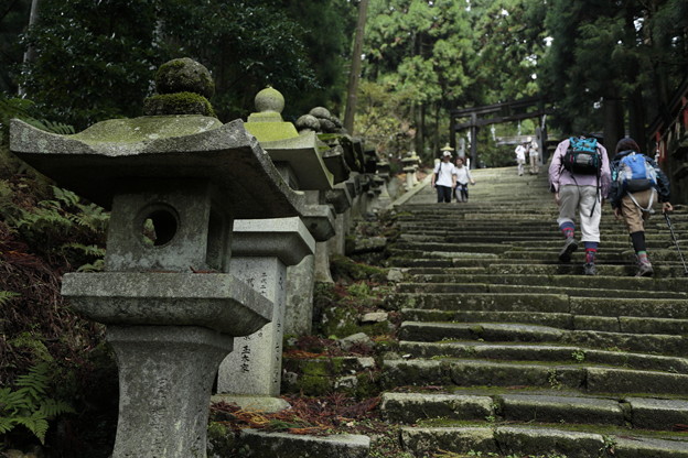 京都･愛宕山14
