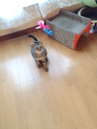 ’141226ルーム7ウィリー5