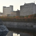 Photos: 大阪城 大手門付近からの風景