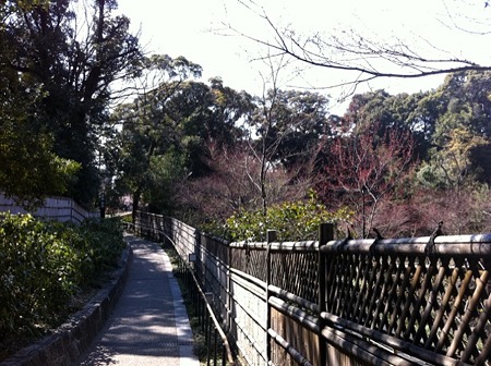 徳川園