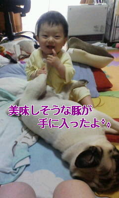 20110511100018