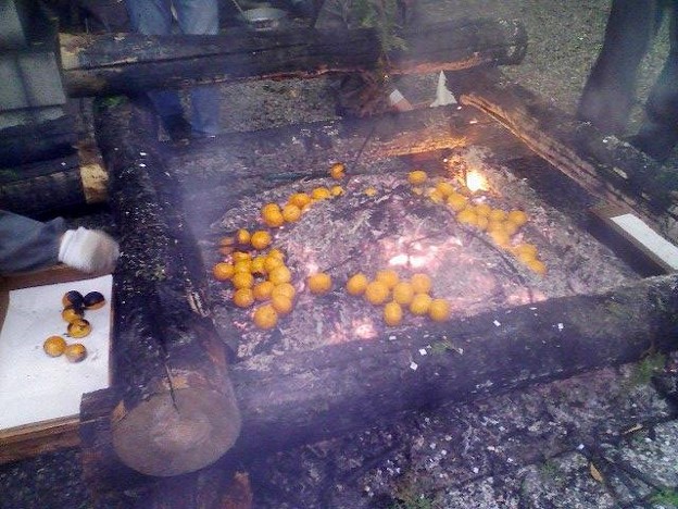 京都三条 6 信稲荷の御火焚祭 神様をお送りした火で無病息災焼きみかんです 照片共享頁面 攝影藏