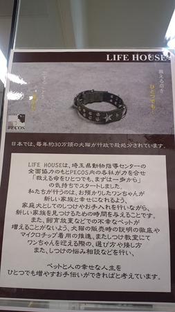 LIFE HOUSE