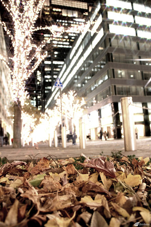 Blog_20141220_00009