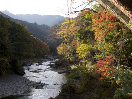 御岳橋上流