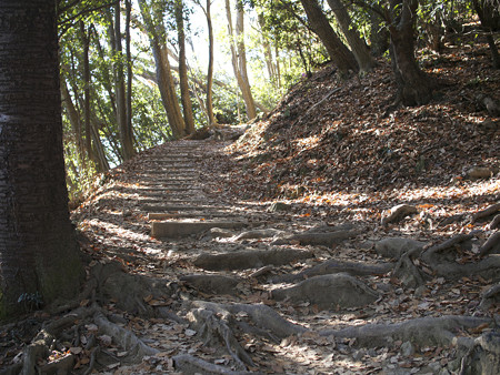 木漏れ日の山道(2)