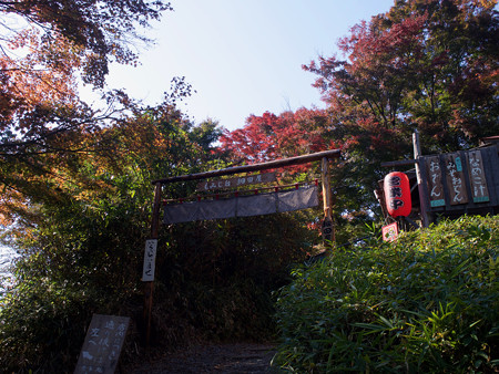PB040006