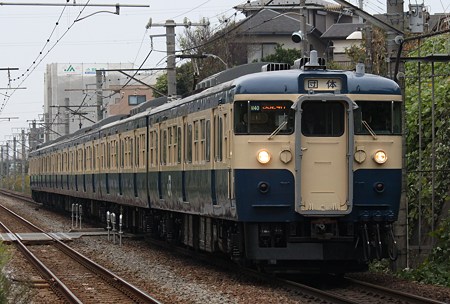 115系M40編成 ひまわり号