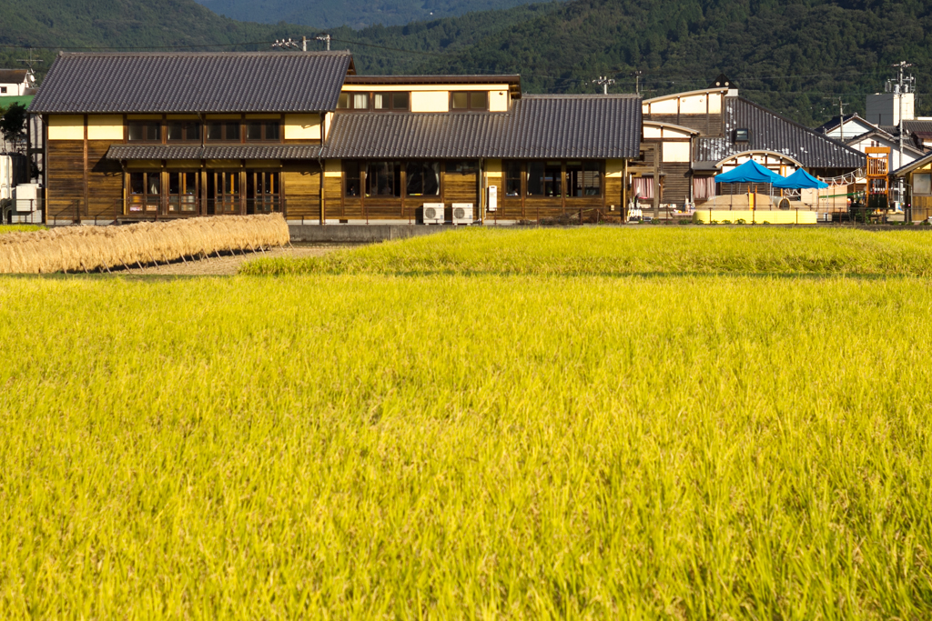 IMG_1064 写真: IMG_1064