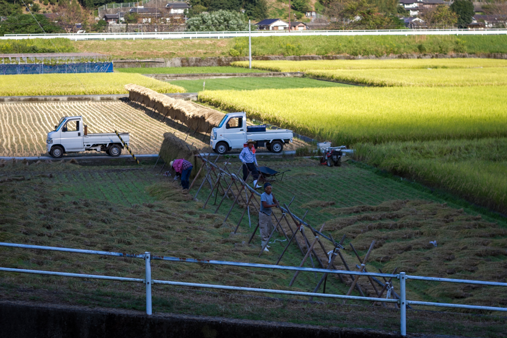 IMG_1097 写真: IMG_1097