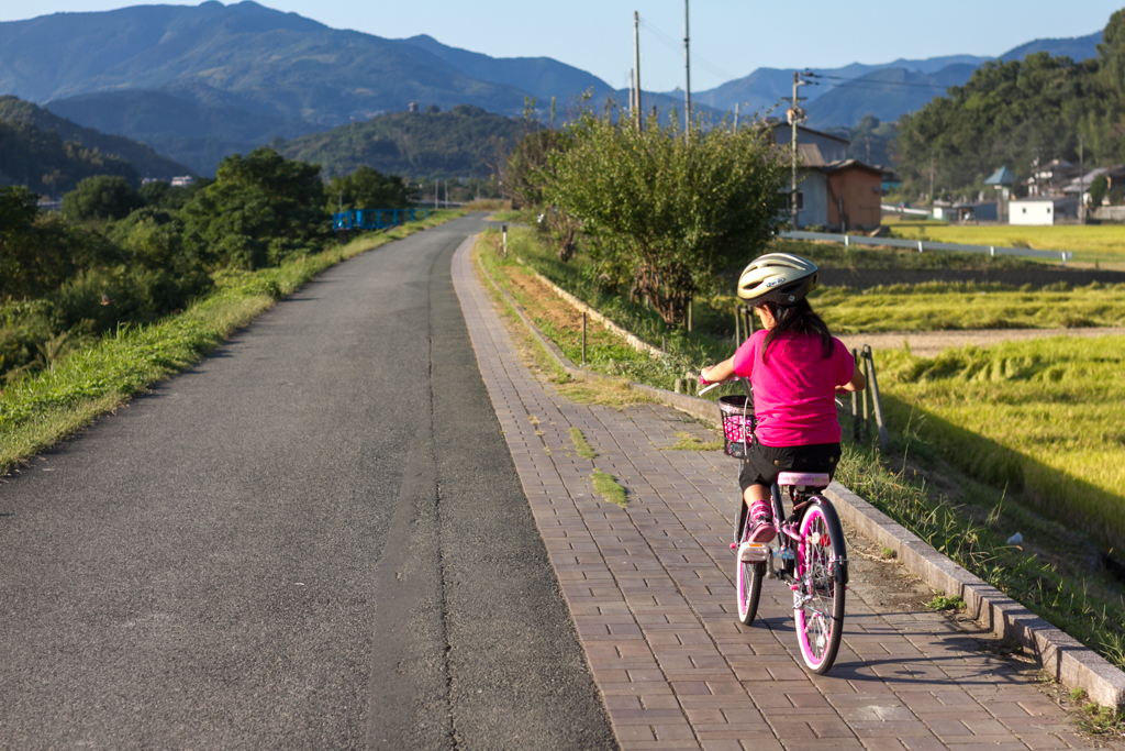 IMG_1160 写真: IMG_1160