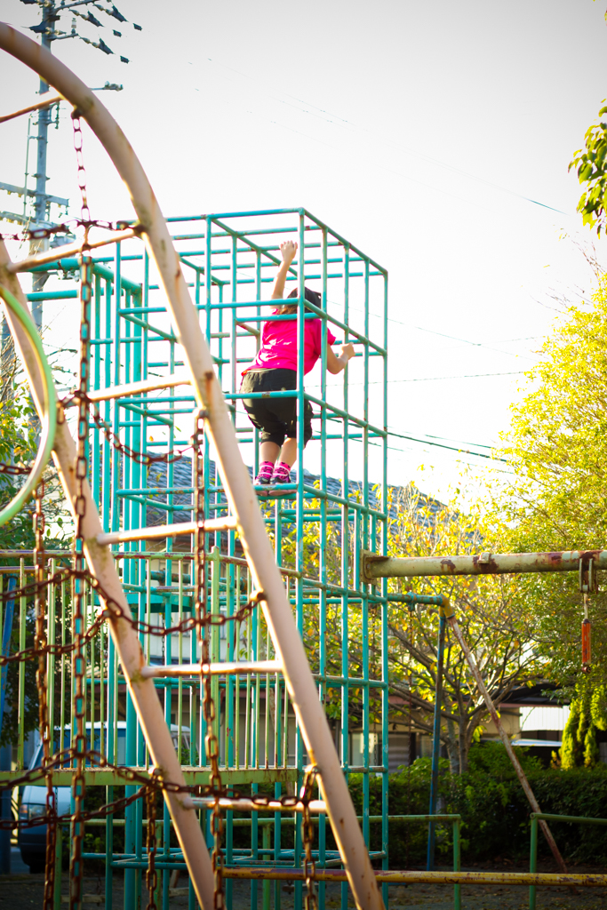 IMG_1285 写真: IMG_1285