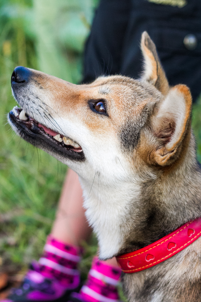 IMG_1357 写真: IMG_1357