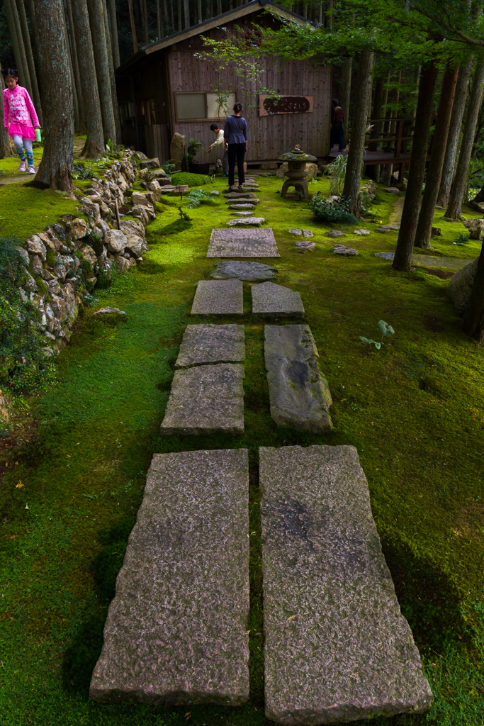 写真: IMG_3283