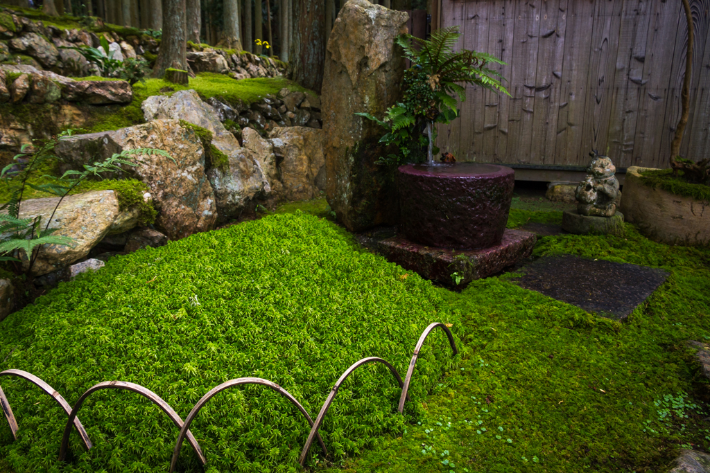 写真: IMG_3286