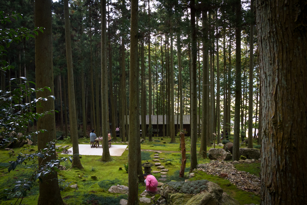 写真: IMG_3356