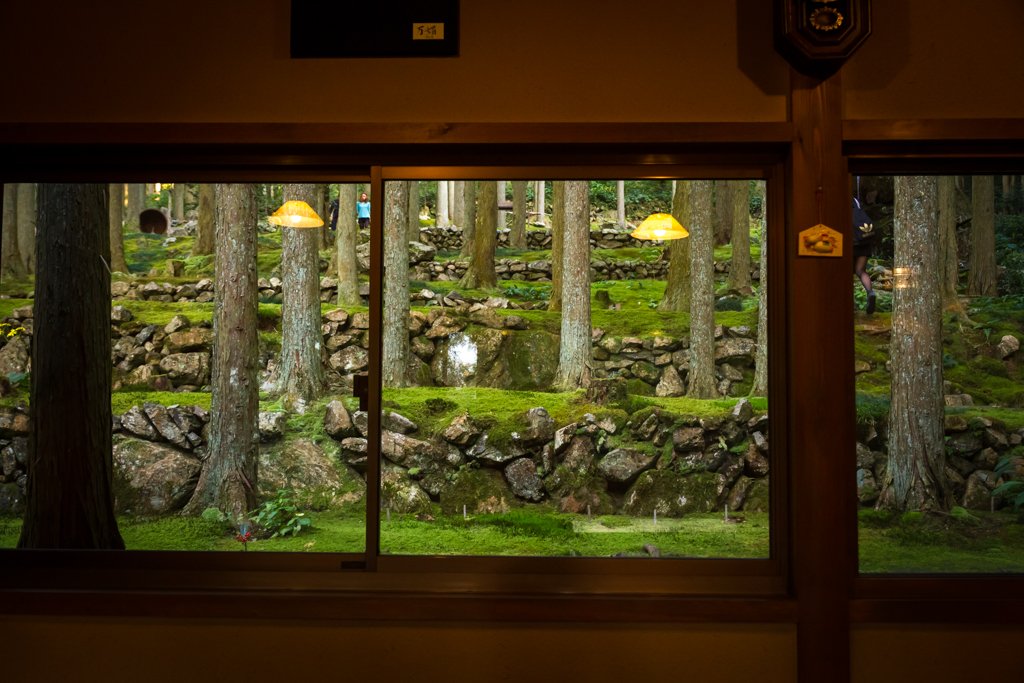 写真: IMG_3412