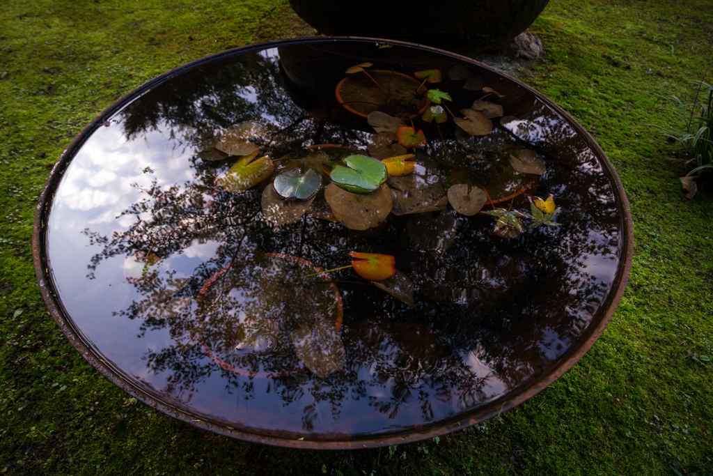 写真: IMG_3457