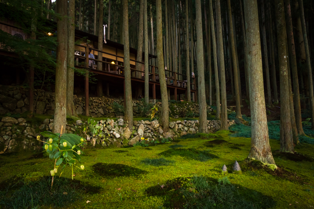 写真: IMG_3465