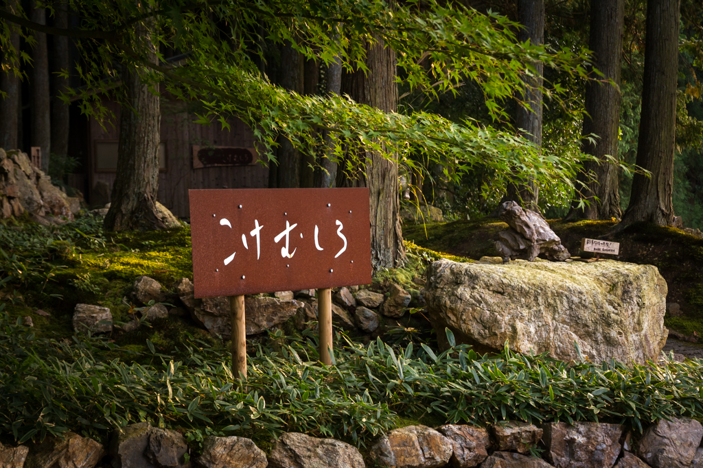 写真: IMG_3474