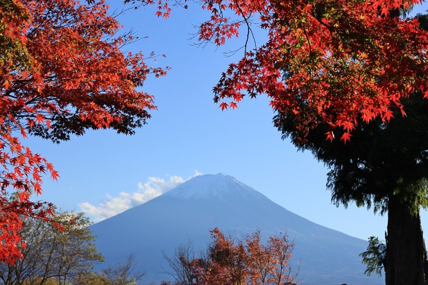 2014富士河口湖紅葉祭り９