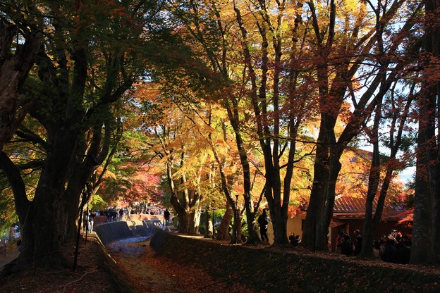 2014富士河口湖紅葉祭り１０