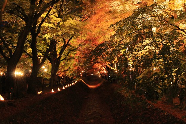 2014富士河口湖紅葉祭り２１